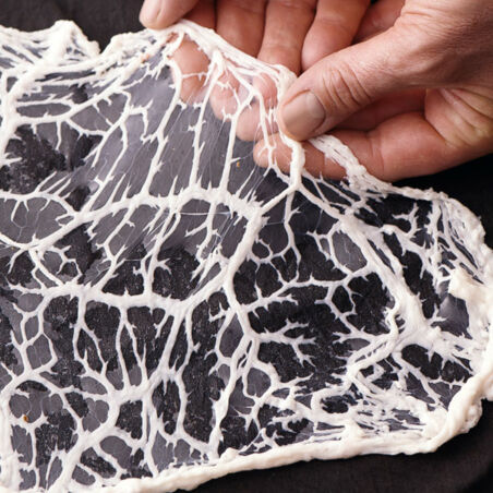 Schweinerüsselpralinen mit Schwarzwurzeln Schweinerüsselpralinen mit Schwarzwurzeln