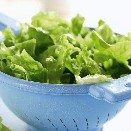 Bunter Salat mit Vinaigrette Bunter Salat mit Vinaigrette