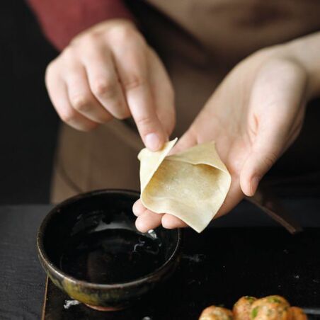 Wan-Tans mit Hackfüllung Wan-Tans mit Hackfüllung