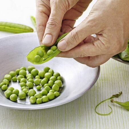 Sommergemüsesuppe mit Gremolata