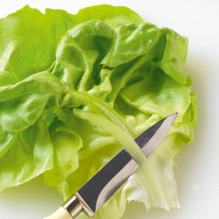 Salat-Avocado-Wraps mit Feta Salat-Avocado-Wraps mit Feta