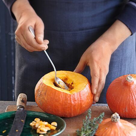 Gefüllte Hokkaidokürbisse Gefüllte Hokkaidokürbisse