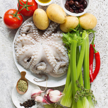 Oktopusragout Oktopusragout