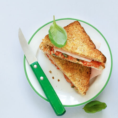 Tomaten-Schinken-Toast Tomaten-Schinken-Toast