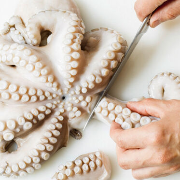 Oktopusragout Oktopusragout