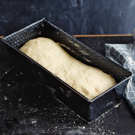 Grundrezept Weißbrotteig Grundrezept Weißbrotteig