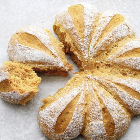 Rübli-Brötchenblume Rübli-Brötchenblume