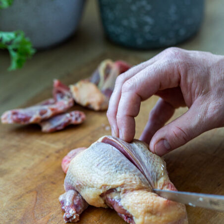 Wild-Taube-tranchieren-UtaGleiser-Photography-5306 Wild-Taube-tranchieren-UtaGleiser-Photography-5306