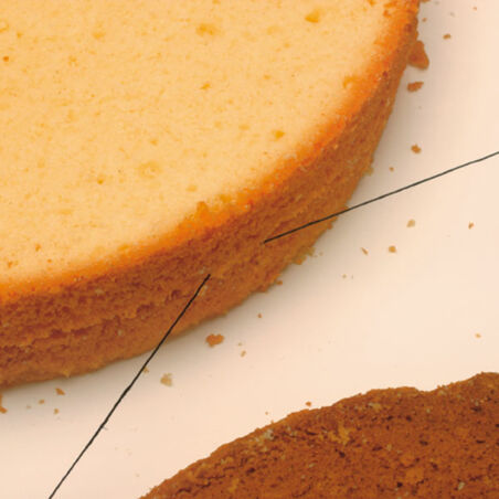 Biskuittorte mit Cremefüllung Biskuittorte mit Cremefüllung