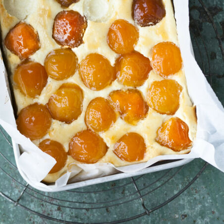Aprikosen-Käsekuchen Aprikosen-Käsekuchen