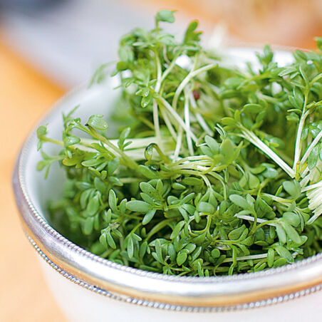 Brokkolicreme mit Knusperkernen Brokkolicreme mit Knusperkernen