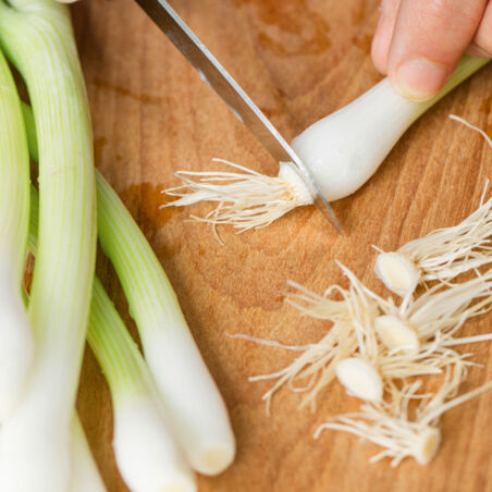 Gemüselasagne Gemüselasagne