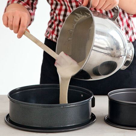 Johannisbeer-Kuppeltorte Johannisbeer-Kuppeltorte