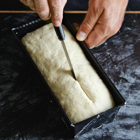 Grundrezept Weißbrotteig Grundrezept Weißbrotteig