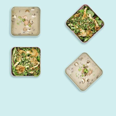 Pilzköpfe auf Tour - Italien und Asien Pilzköpfe auf Tour - Italien und Asien