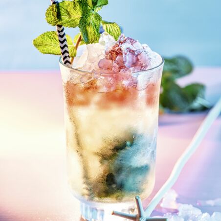 Queen’s Park Swizzle Queen’s Park Swizzle