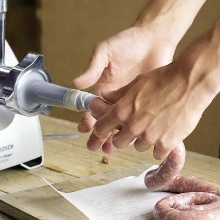 Südafrikanische Bratwurstschnecke Südafrikanische Bratwurstschnecke