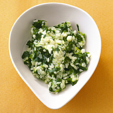 Entengrütze Entengrütze