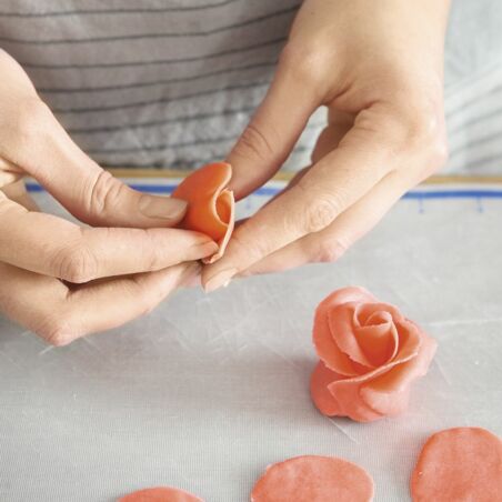 Arbeiten mit Marzipan Arbeiten mit Marzipan