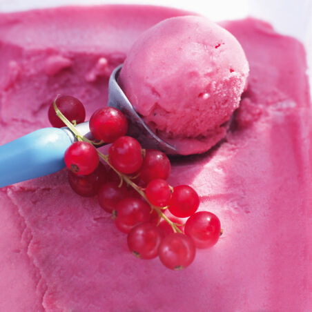 Johannisbeersorbet mit Cassis Johannisbeersorbet mit Cassis