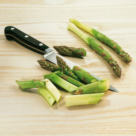 Penne mit Spargelsauce Penne mit Spargelsauce