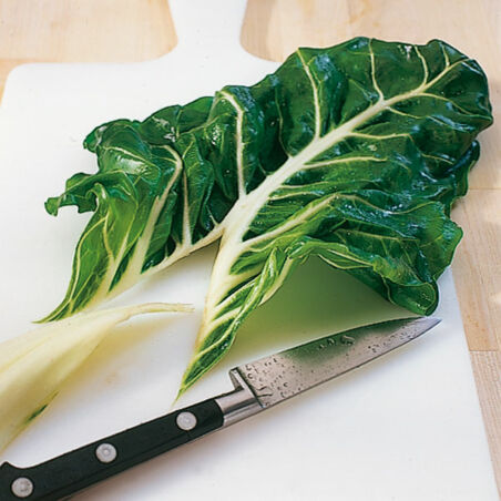 Mangold-Schafkäse-Päckchen Mangold-Schafkäse-Päckchen