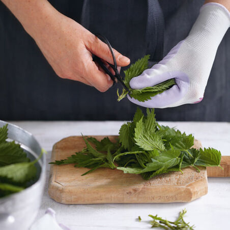 Brennnesselkranz Brennnesselkranz