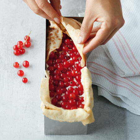 Johannisbeer-Tonka-Terrine im Crêpemantel Johannisbeer-Tonka-Terrine im Crêpemantel