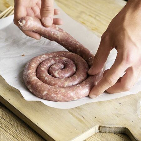 Südafrikanische Bratwurstschnecke Südafrikanische Bratwurstschnecke