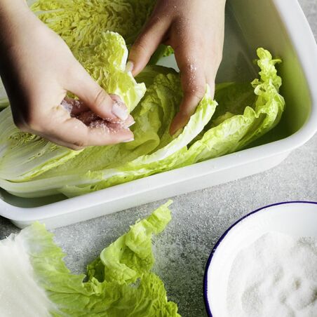 Kimchi aus Chinakohl Kimchi aus Chinakohl