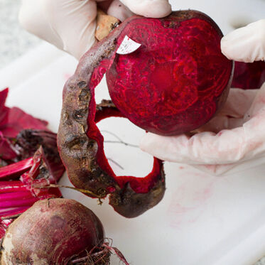 Ofengemüse mit Zitronenöl Ofengemüse mit Zitronenöl