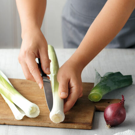 Mediterrane Gemüsetimbale mit Basilikumöl Mediterrane Gemüsetimbale mit Basilikumöl