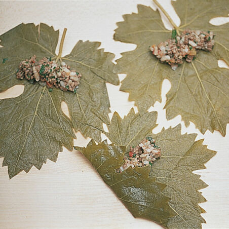 Mit Hackfleisch gefüllte Weinblätter Mit Hackfleisch gefüllte Weinblätter