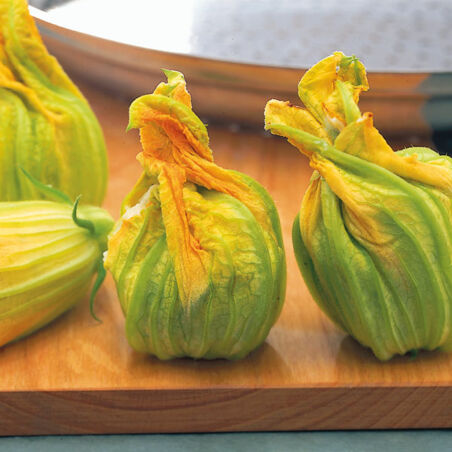 Gefüllte Zucchini-Blüten Gefüllte Zucchini-Blüten