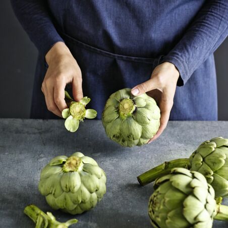 Artischocken mit Zitronen-Mayo und Minze-Vinaigrette Artischocken mit Zitronen-Mayo und Minze-Vinaigrette