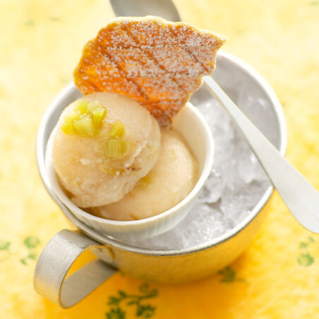 Holunderblütensorbet mit Rhabarber Holunderblütensorbet mit Rhabarber