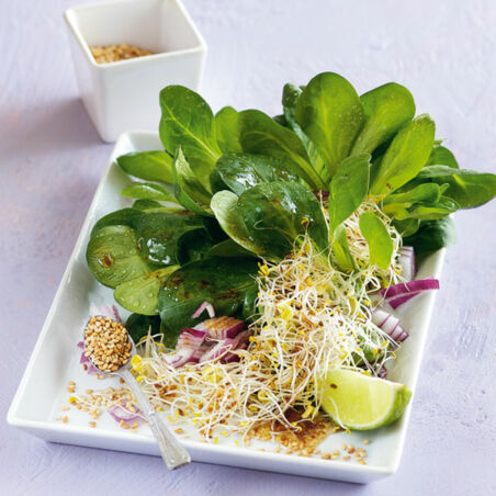 Feldsalat mit Sprossen Feldsalat mit Sprossen