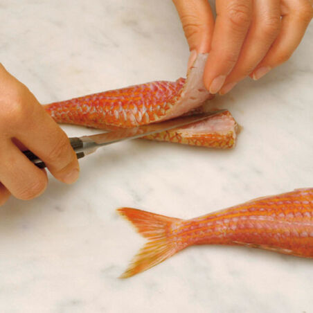 Fischeintopf aus Livorno Fischeintopf aus Livorno