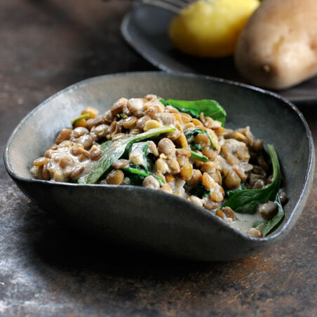 Linsen-Spinat-Ragout Linsen-Spinat-Ragout