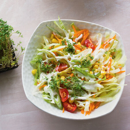Bunter Salat mit Kressesauce Bunter Salat mit Kressesauce