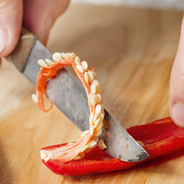 Oktopusragout Oktopusragout