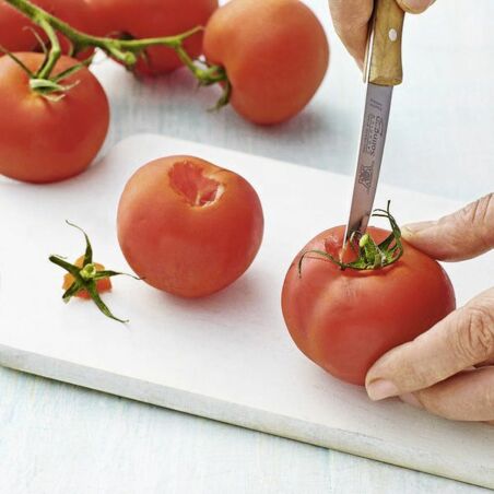 Tomaten-Tintenfisch-Suppe mit Rucola-Öl Tomaten-Tintenfisch-Suppe mit Rucola-Öl