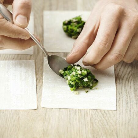 Veggie-Wan-Tan Veggie-Wan-Tan