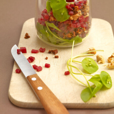 Bündner Tatar mit Portulak Bündner Tatar mit Portulak