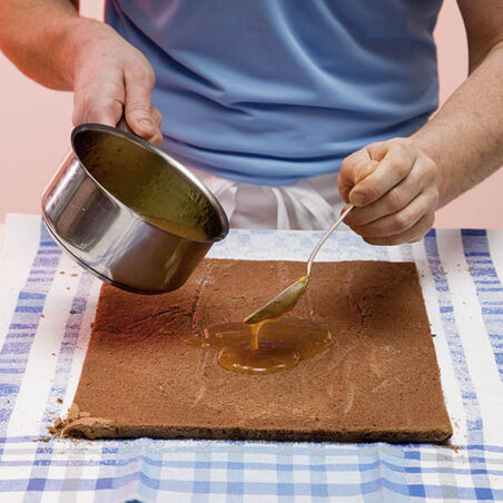 Biskuit-Roulade à la Sacher Biskuit-Roulade à la Sacher