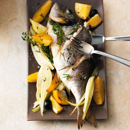 Dorade auf Kartoffel-Fenchel-Bett Dorade auf Kartoffel-Fenchel-Bett