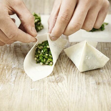 Veggie-Wan-Tan Veggie-Wan-Tan