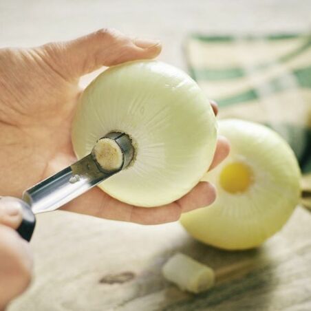Zwiebelschiffchen mit Schweinemett Zwiebelschiffchen mit Schweinemett