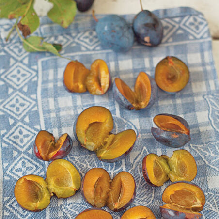 Beeren-Früchte-Rumtopf