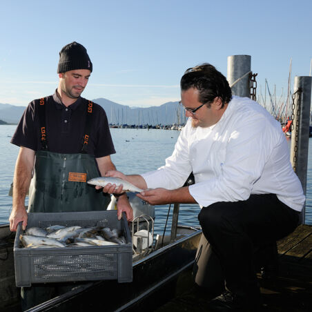 ising_koch ising_koch